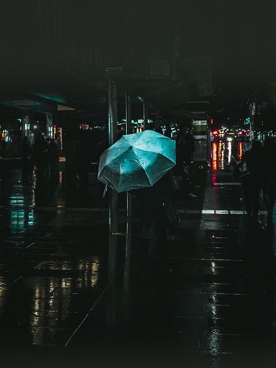 建筑物 城市 城市的 路 街道 雨 湿的 水 雨伞 灯