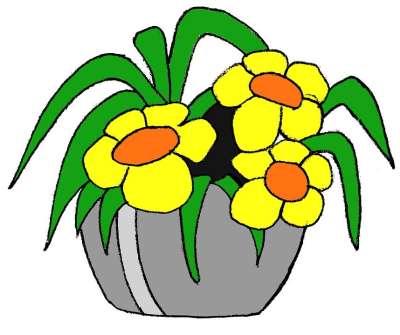 石锅 黄色 花 儿童 画画 黄花