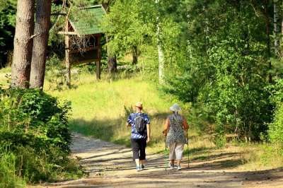 人民 旅游 老年人 山 假期 假日 夏天 登山 休息 活动