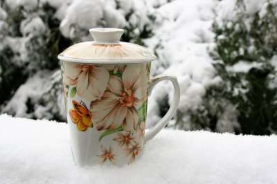 马克杯 茶 冬季 雪 冷 外部 弗罗斯特 性质 季节 森林