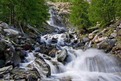 山 激流 水 河 冲水 瀑布 阿尔卑斯山 国家公园 石头 树木