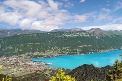 景观 湖 山 亲爱的 因特拉肯 瑞士 因特拉肯 因特拉肯