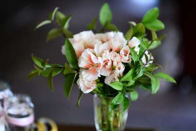 花 百合花 花朵 绿色 计划 花园 花瓣 花园花 花瓶 浪漫的