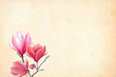 生日快乐 生日快樂 花 背景 水彩 花的 边境 花园框架 春天
