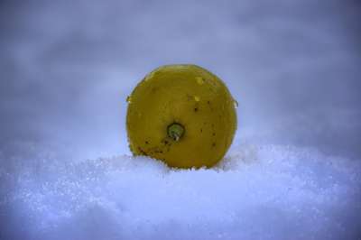 柠檬 雪 维生素 健康 新鲜的 寒冷的 防御 防止 维生素 C
