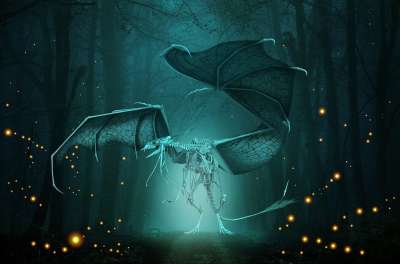 森林 龙 幻想 没有死 骨骼 恐惧 恐怖 夜晚 黑暗的 雾