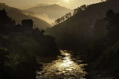 黎明 山高 多雾路段 云的复盖 加热 热带雨林 太阳 树木 冷