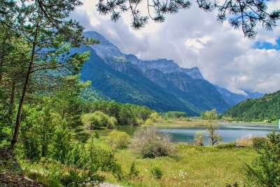 自然 人体内的水 景观 亲爱的 山 树 夏天 旅行 户外活动