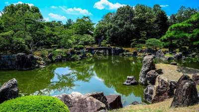 蓝天 花园 绿色 日本 日本人 水坑 反射 天空 石头 水