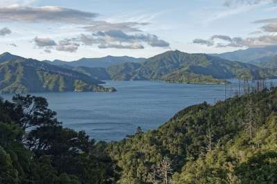 新西兰 Ngakuta湾 海湾 南岛 景观 森林 山 天堂 云