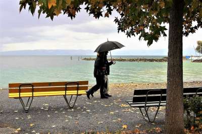 雨伞 雨 秋天 黄叶 夫妻 风 枯萎的叶子 湖 海滩 性质