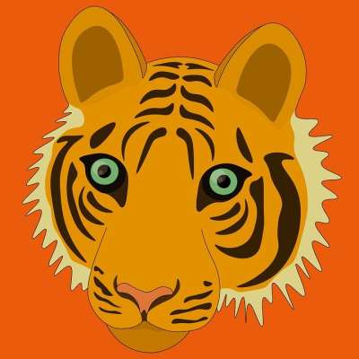 老虎 猫科动物 条纹 轮廓 图案 线 动物 荒野 野生动物