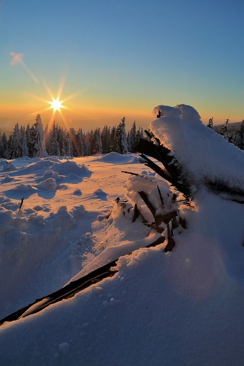 冬季 雪 日落 景观 树木 比尔 白色的 天空 弗罗斯特 山