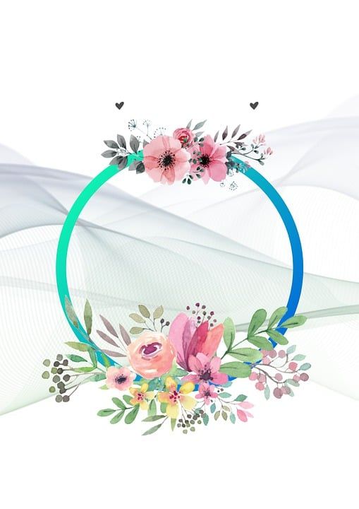 花朵 框架 花的 边境 美丽 春天 开花 盛开 装饰性的