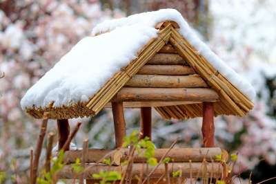 鸟巢 雪 冬天 木头 屋顶 喂食场所 喂鸟器 鸟保护 动物福利
