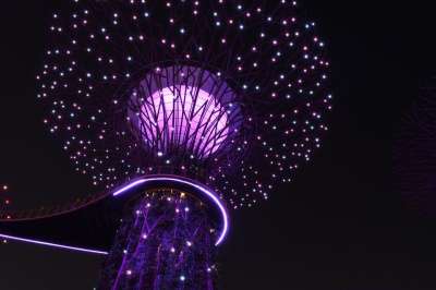 海湾花园 旅游景点 新加坡 结构 夜晚 建造 户外 光