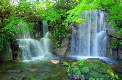 水 峡谷 绿色 山 景观 森林 瀑布 自然 日本 河 水源