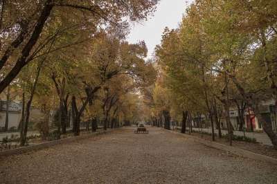 旅游景点 旅游 文化 旅行 伊斯法罕 伊朗 秋天 落下