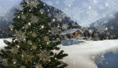 圣诞节 新的一年的一天 冬天 雪 小屋 房子 枞树