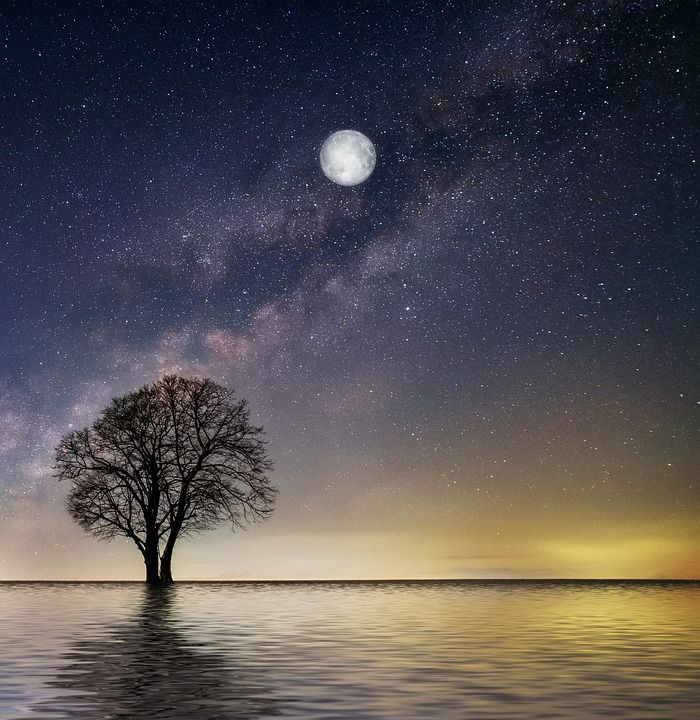 黄昏 湖 月光 满月 夜晚 夜空 星星 自然 景观