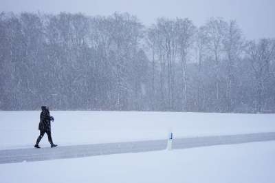 暴风雪 人 转义 回家的路上 冬季风暴 雪花 寒冷的 冰冷的 雪