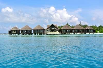 马尔代夫 椰子树 海 采取 夏天 假期 天空 海洋 海滩 旅行