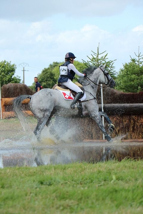 Haras Du销 国家柱 螺柱 伟大的全 跳跃 叉 马 竞赛