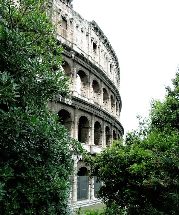 罗马 体育馆 意大利 旅游 旅行 从历史上看 建造 体系结构