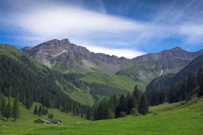 阿尔卑斯山 农田 谷 树木 高山农业 山 景观