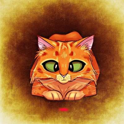 猫 乐趣 可爱的 潜伏 眯