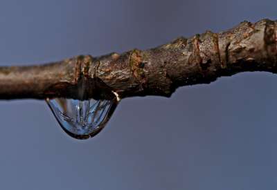 水滴 滴 自然 露 光 雨滴 关闭 情绪 水珠 露珠 反射
