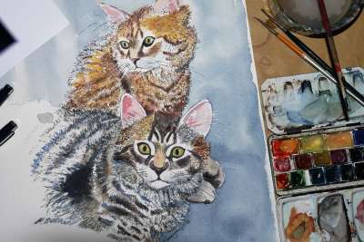 猫 作画 绘画 艺术品 动物 艺术 水彩 图片
