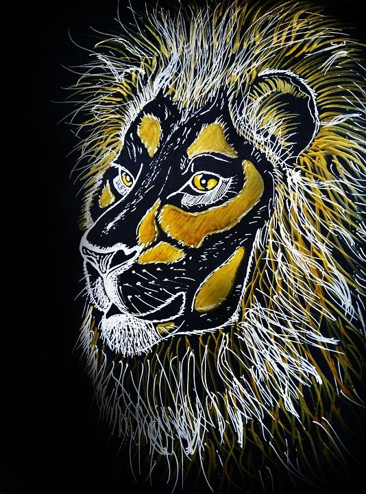 利奥 纵向 动物 萨凡纳 非洲 野性 画画 草图 猫科动物