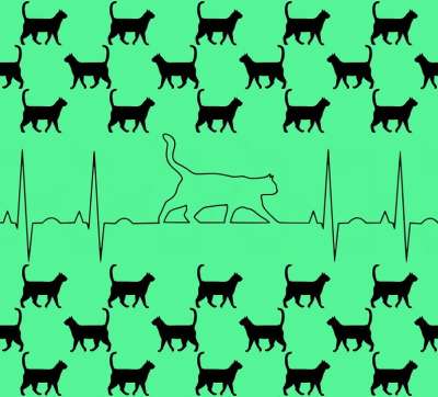 高清壁纸 背景 猫 动物 猫科动物 心电图 心跳 可爱的 数码纸