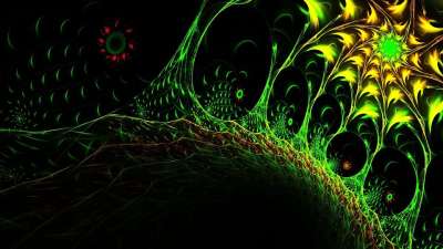 分形 分形艺术 计算机图形学 空间 数字艺术 幻想 抽象 细胞