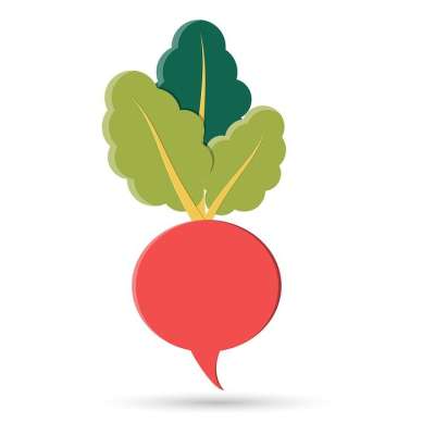 健康 新鲜的 甜菜 根 自然 沙拉 维他命 一个东西 孤立