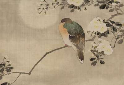 优质的 日本人 水彩 绘画 老式的 古董 自然 荒野 野生动物