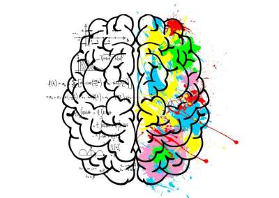 脑 剩下 逻辑 科学 数学 对 创造力 艺术的 情绪 想象力
