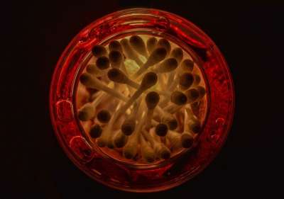 高清壁纸 光 图像 棉花棒 片 抽象 红色的 白色的 饰品