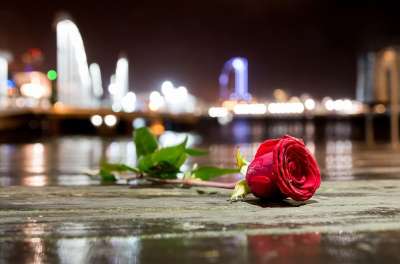 花 玫瑰的城市 海 雨 香味 神奇 圣瓦伦丁 巴塞罗那