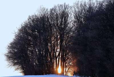 冬天 傍晚的太阳 雪 自然 下雪的 冬季景观 天堂 霜 太阳