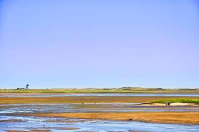 科德角 马萨诸塞州 海洋 新英格兰 新的 海 海滩 蓝色的 旅行