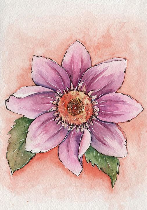 花 粉红色的花 绘画 水彩绘画 艺术品 植物群