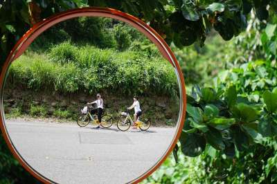 反射 自行车 运动 车轮 夏天 循环 生活方式 运输 锻炼