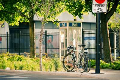 蒙特利尔 魁北克 自行车 街道 路面 城市的 人行道 树木 草