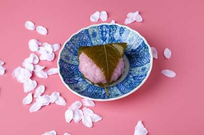 樱花年糕 日式甜点 粉色 套房 糖果 甜 K 春天 日本
