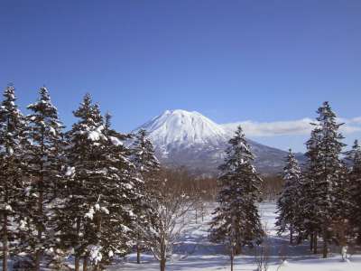 羊蹄山 二世古 日本 滑雪 雪 滑雪板 粉雪 冬天 山 深雪