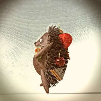 刺猬索尼克 水果 儿童图书 幻想 可爱的 动物 多刺的 营养