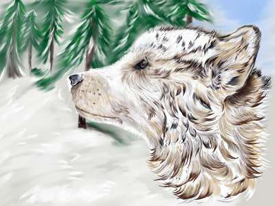 狗 冬天 雪 数字艺术作品 艺术