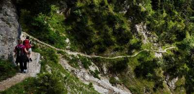登山 远足 沃克 踪迹 山 登山靴 户外的 小路 山棒 背包